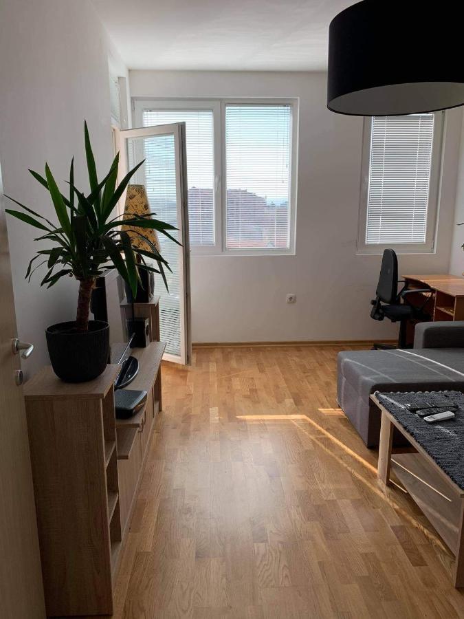 Apartman Aleksic Ni Esterno foto